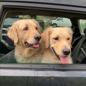 Meet your Posher, Xuyen